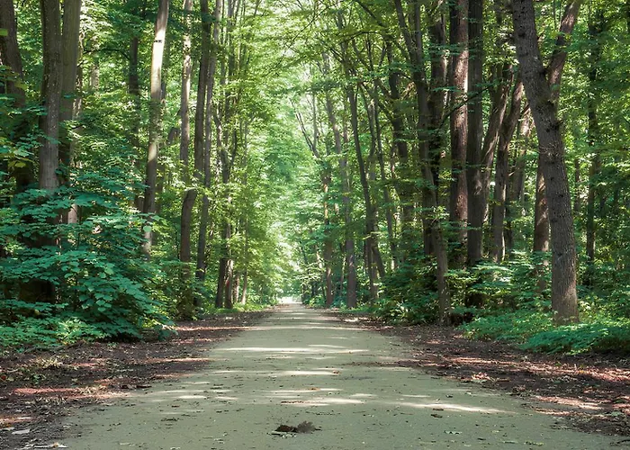 Forest-view Lejlighed *