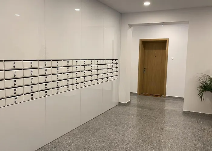 Forest-view * Бухарест